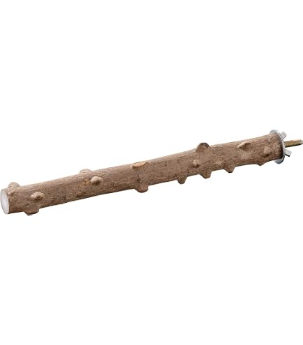 Amazon | 備長炭止まり木 S （小）長さ：約12cm 直径1.2～2cm
